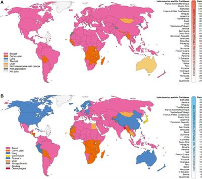 A New Insight for the Identification of Oncogenic Variants in Breast and Prostate Cancers in Diverse Human Populations, With a Focus on Latinos